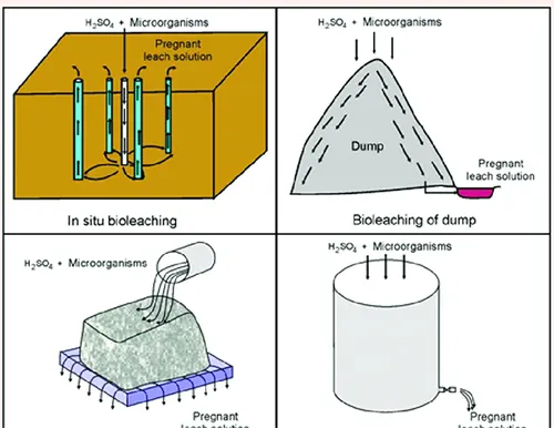 10 Essential Insights About Metal Minerals You Need to Know CNR06 - Metal Minerals - bioleaching